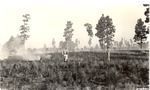 5100-406550 Day After P Burn Seedlings - Angelina National Forest 1938 by United States Forest Service