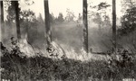 5100-406553 Fire #1 Controlled Burn - Angelina National Forest 1938 by United States Forest Service