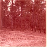 5100-T68 - 58 Wildfire Willow Oak Construction - Sabine National Forest 1967