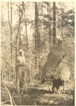 5200-T64-39 Yellowjacket Nest - Davy Crockett National Forest Date Unknown by United States Forest Service