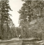 2351-5-08-04 Taking A Stroll Ratcliff - Davy Crockett National Forest