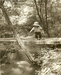 2351-5-508570 JR Fishing Bridge - Sam Houston National Forest 1964 by United States Forest Service
