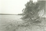 2351-4-11 Shoreline Fishing 02 - Angelina National Forest 1976 by United States Forest Service