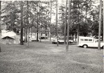 1650.5-17-8 Texas Charette Conroe Unit 1974 by United States Forest Service