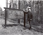 1650.5 T64-29 McElroy Looking Slash Pine Records - Davy Crockett National Forest 1964 by United States Forest Service