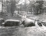1650.5 T64-397 Betty Croke Boykin - Angelina National Forest 1960 by United States Forest Service