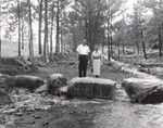 1650.5 T64-398 Shenkir Croke Boykin - Angelina National Forest 1960 by United States Forest Service