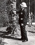 1650.5 T64-457 Senator Yarborough Trims Yaupon Big Thicket - Sam Houston National Forest by United States Forest Service