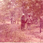 1650.5 T65-31 APW Job Corpsman Construction - Sam Houston National Forest 1966 by United States Forest Service