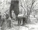 1650.5 T66-5 McElroy Douglas Sam Houston Cypress - Sabine National Forest 1966