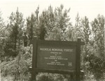 2400-3 Magnolia Memorial Forest - Angelina National Forest by United States Forest Service
