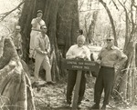 2400-T66-5 Sam Houston Cypress Tree - Sabine National Forest 1966