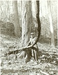 2400-T67-11 Moore Giant Grapevine East Hamilton Tenaha - Sabine National Forest 1966