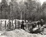 7100-01 Bridge Building - Sam Houston National Forest 1967 by United States Forest Service