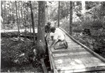 7100 Building Wooden Walkway by United States Forest Service