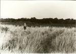 2200-9 LBJ Misc. Black & White Photo - LBJ National Grasslands 1980 001