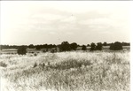 2200-9 LBJ Misc. Black & White Photo - LBJ National Grasslands 1980 004