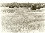 2200-9 LBJ Misc. Black & White Photo - LBJ National Grasslands 1980 007