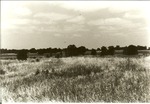 2200-9 LBJ Misc. Black & White Photo - LBJ National Grasslands 1980 008