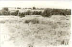 2200-9 LBJ Misc. Black & White Photo - LBJ National Grasslands 1980 012