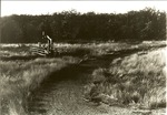 2200-9 LBJ Misc. Black & White Photo - LBJ National Grasslands 1980 015 by United States Forest Service