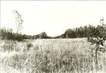 2200-9 LBJ Misc. Black & White Photo - LBJ National Grasslands 1980 016 by United States Forest Service