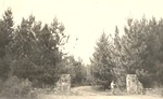CP12-06 - Davy Crockett National Forest 1948