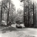 CP12-08 - Davy Crockett National Forest 1986 by United States Forest Service