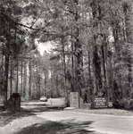 CP12-10711 - Davy Crockett National Forest 1964