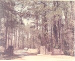 CP12-10746 - Davy Crockett National Forest 1969