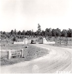 CP12-372305 - Davy Crockett National Forest 1938