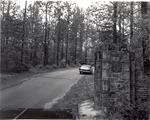 CP12-T64-449 - Davy Crockett National Forest 1964 by United States Forest Service