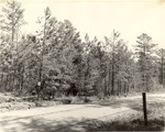 CP18-T64-287 - Davy Crockett National Forest 1960