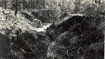 CP47-2-20 - Davy Crockett National Forest 1951 by United States Forest Service