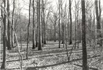 CP3103-24 - Davy Crockett National Forest 1987 by United States Forest Service
