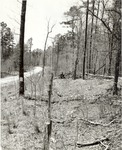 CP-T64-85 - Davy Crockett National Forest 1960