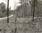 CP-T64-86 - Davy Crockett National Forest 1960