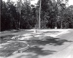 5600-T68-7 Parking Lot Caney Creek - Angelina National Forest 1967 by United States Forest Service