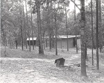 5600-T68-28 Four Unit Toilet Bulletin Grill Letney - Angelina National Forest 1967 by United States Forest Service