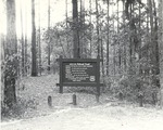 5600-T68-37 Multiple Use Sign Letney - Angelina National Forest 1967