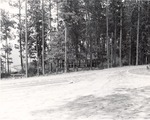 5600-T68-39 Shelter Letney - Angelina National Forest 1967