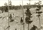 2400 Boykins Springs - Angelina National Forest 1938
