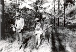 2400-C-88-02 West of Boykin - Angelina National Forest 1977