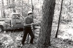 2400-C-90 Near Aldridge - Angelina National Forest 1979 by United States Forest Service
