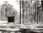 2400-T64-9 Demo Area Hwy 7 Neches Dist. - Davy Crockett National Forest 1964