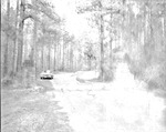 2400-T64-31 Slashpine Ratcliff - Davy Crockett National Forest 1964