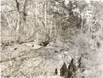 2400-T64-172 Rock Mountain - Davy Crockett National Forest 1961
