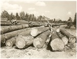 2400-T64-224 Temple Lumber Co. Near Pineland - Sabine National Forest 0001