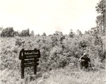 2400-T67-13 Reforestation - Davy Crockett National Forest 1967 by United States Forest Service