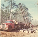 2400-T68-83 Log Loading Site - Sabine National Forest
